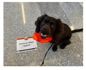 Hey - I'm famous