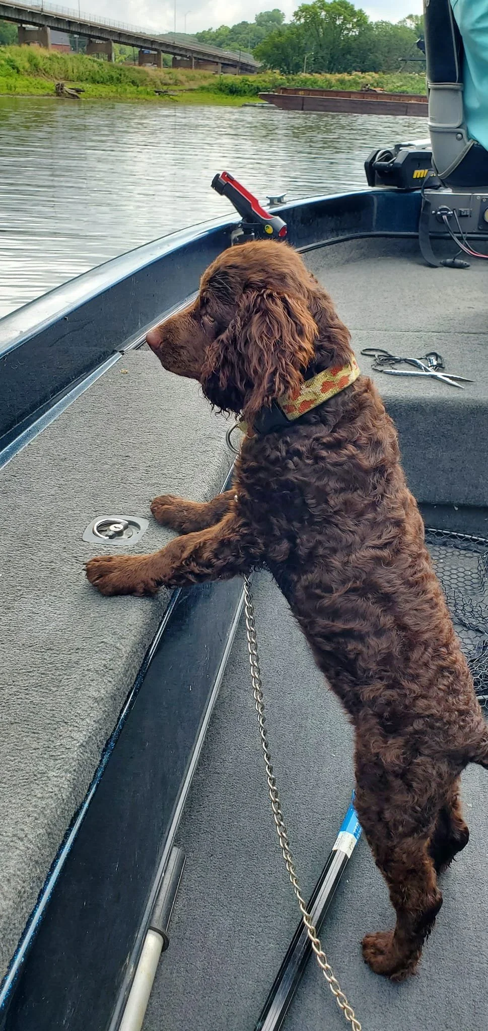 When can I jump in? 