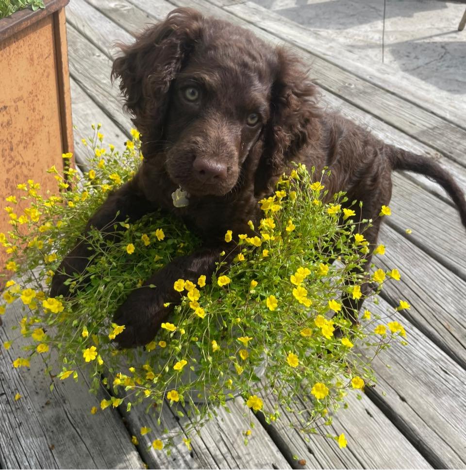 Is yellow my color? 