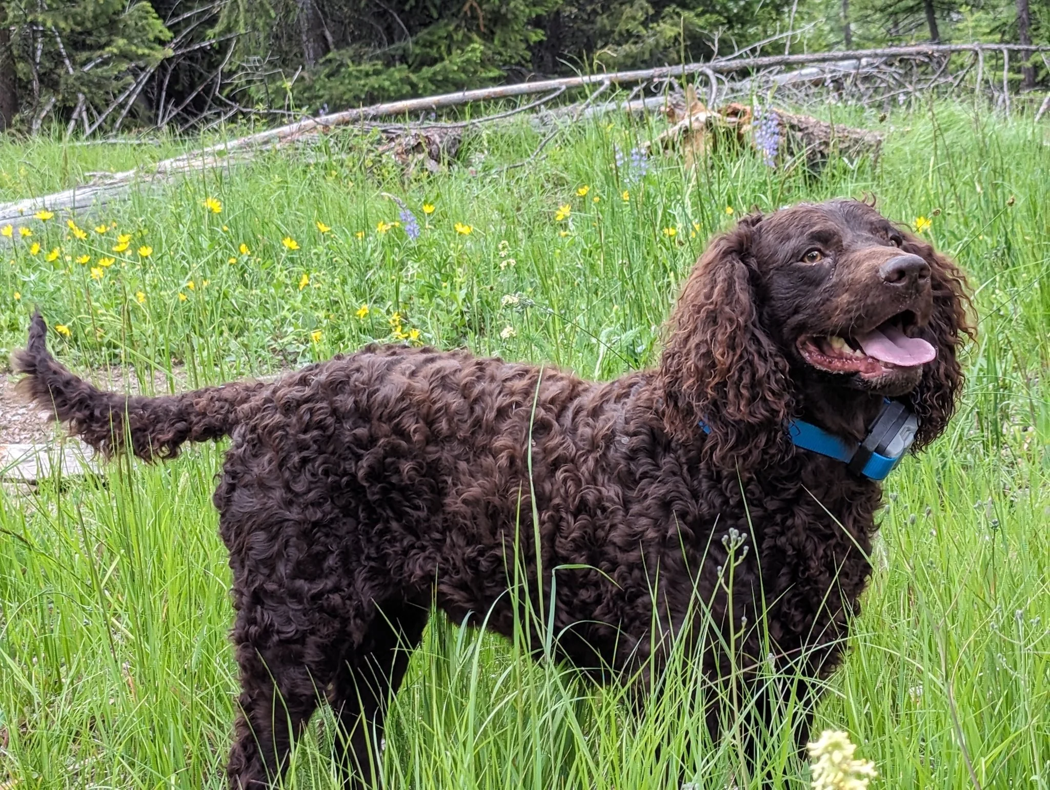 Happy to be outside 
