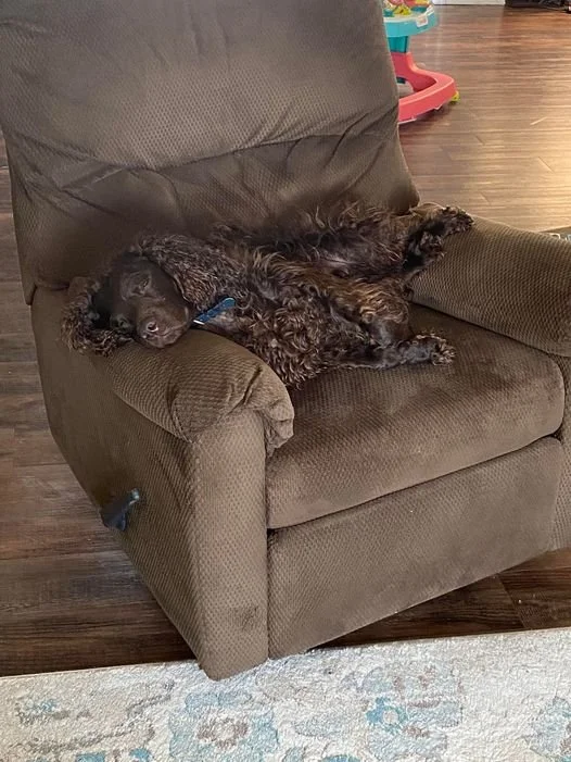 So Comfy - - 
