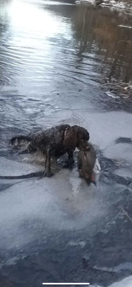 Cold?  we ROCK the ice 