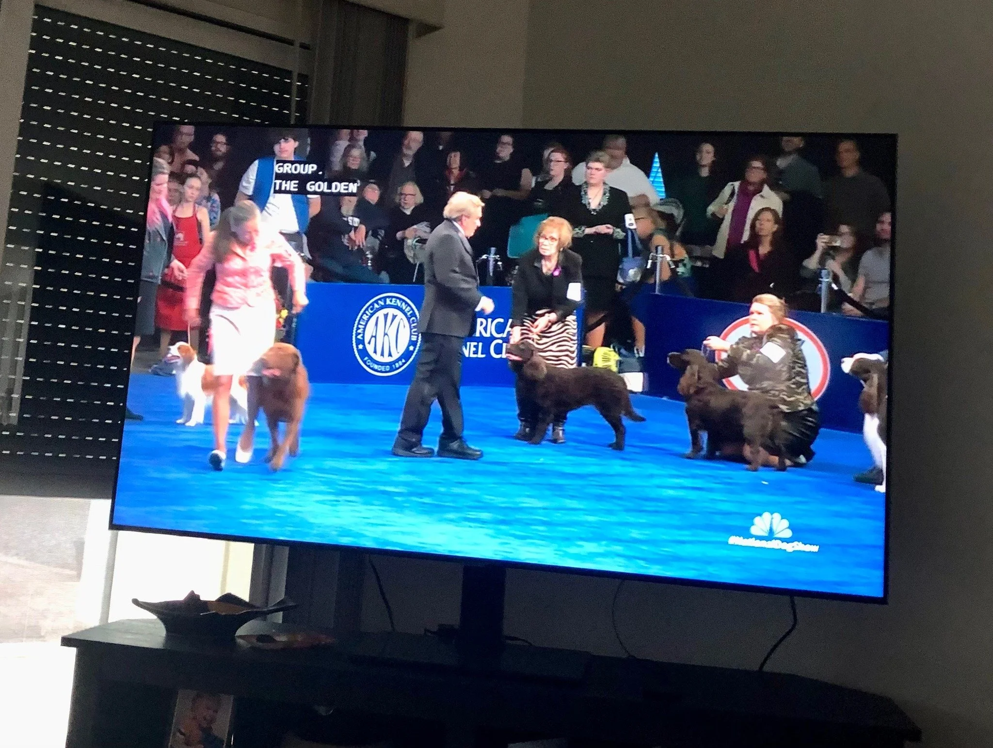 We are famous ! 