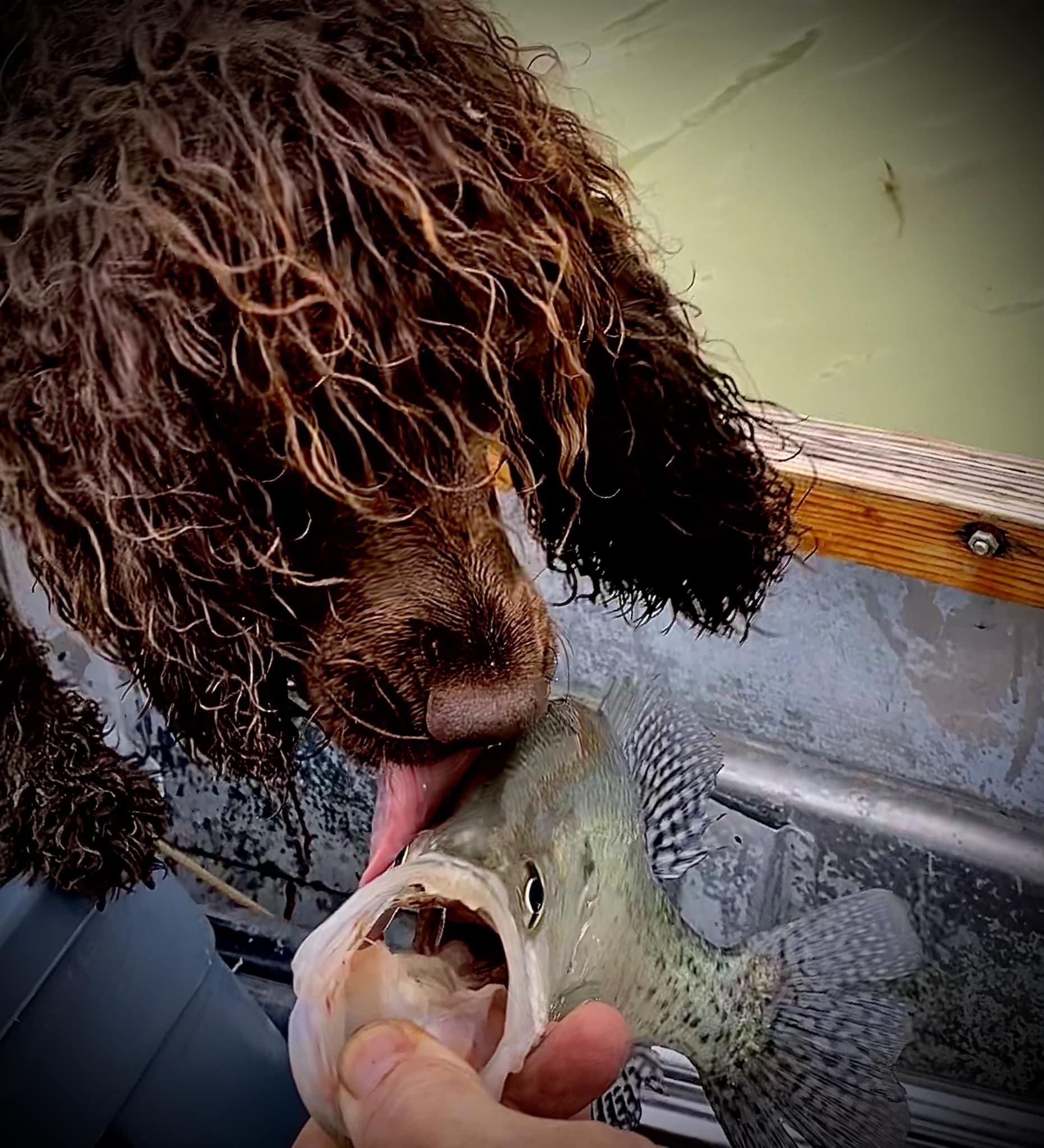 You do taste good!