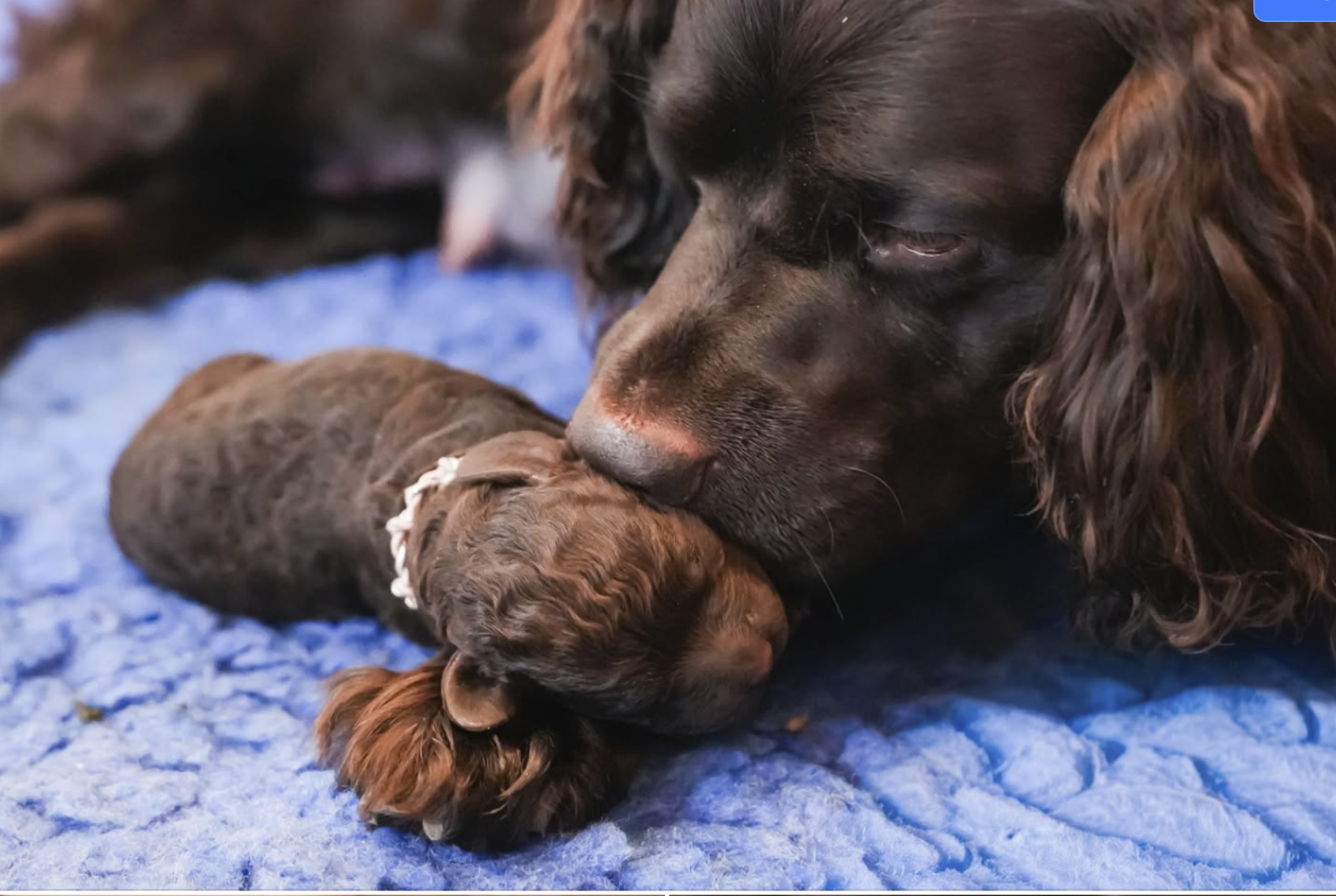 Screenshot 2026-03-06 at 4.44.45 PM.png