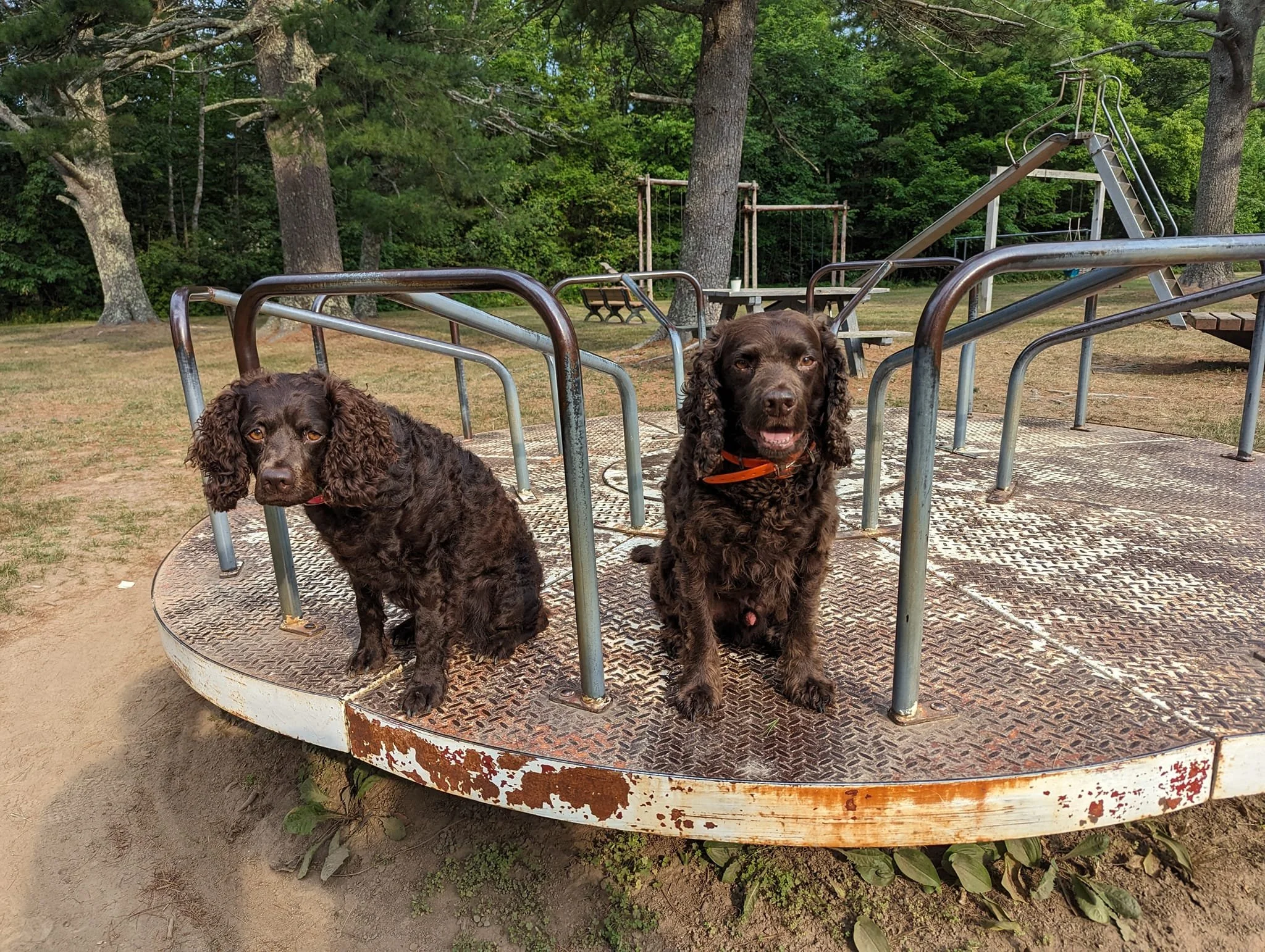 I think one of us had enough 