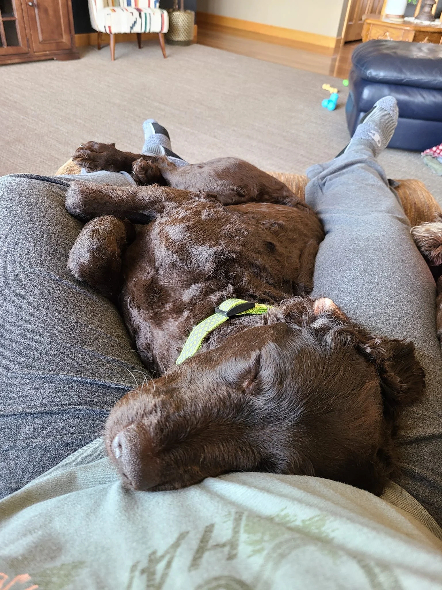Awwww so comfy