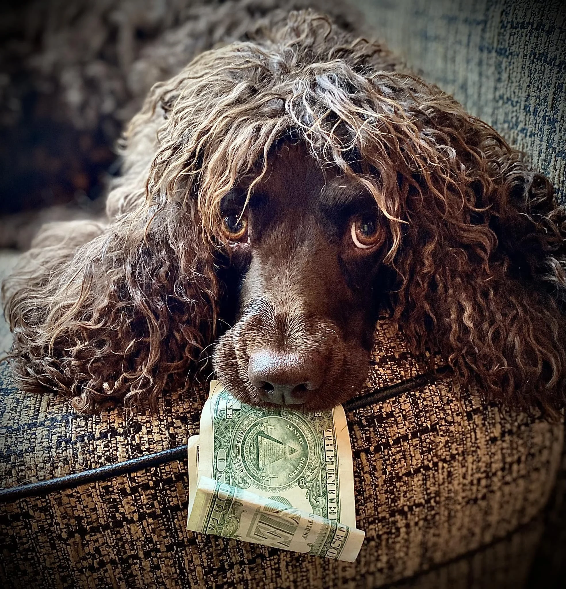 Dollar for your thoughts? 