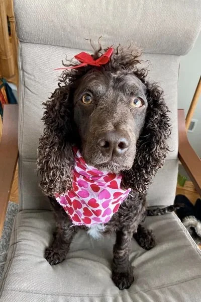Happy Valentine's Day!
