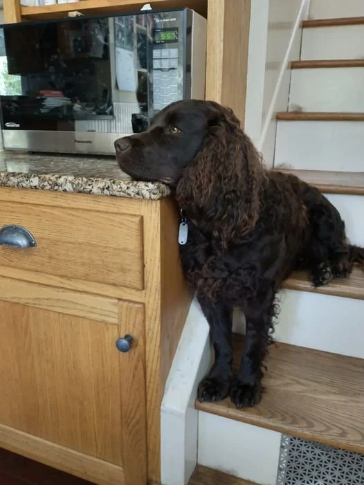 Yep - I'm comfortable, just watching