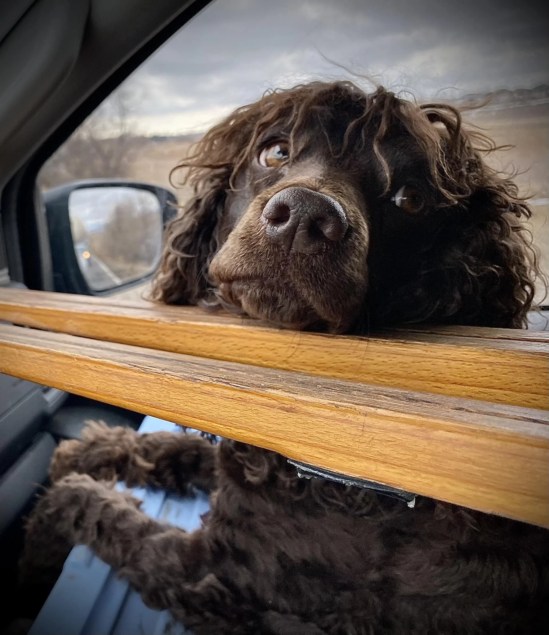 Are we there yet? 