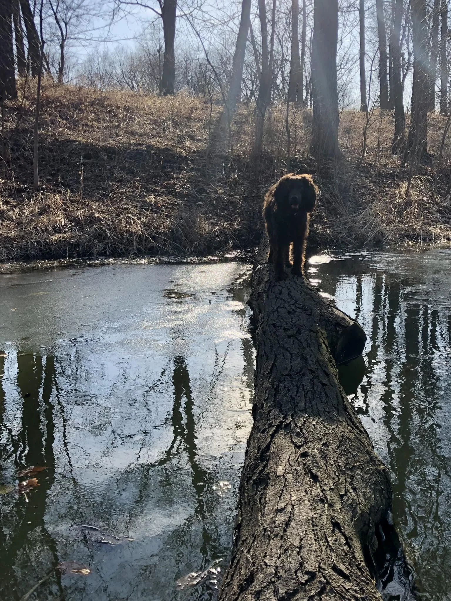 Come on out - you will not fall