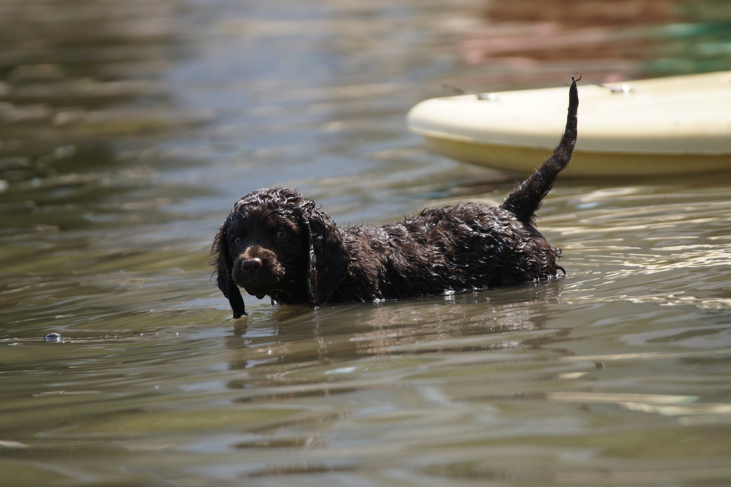 First water experience