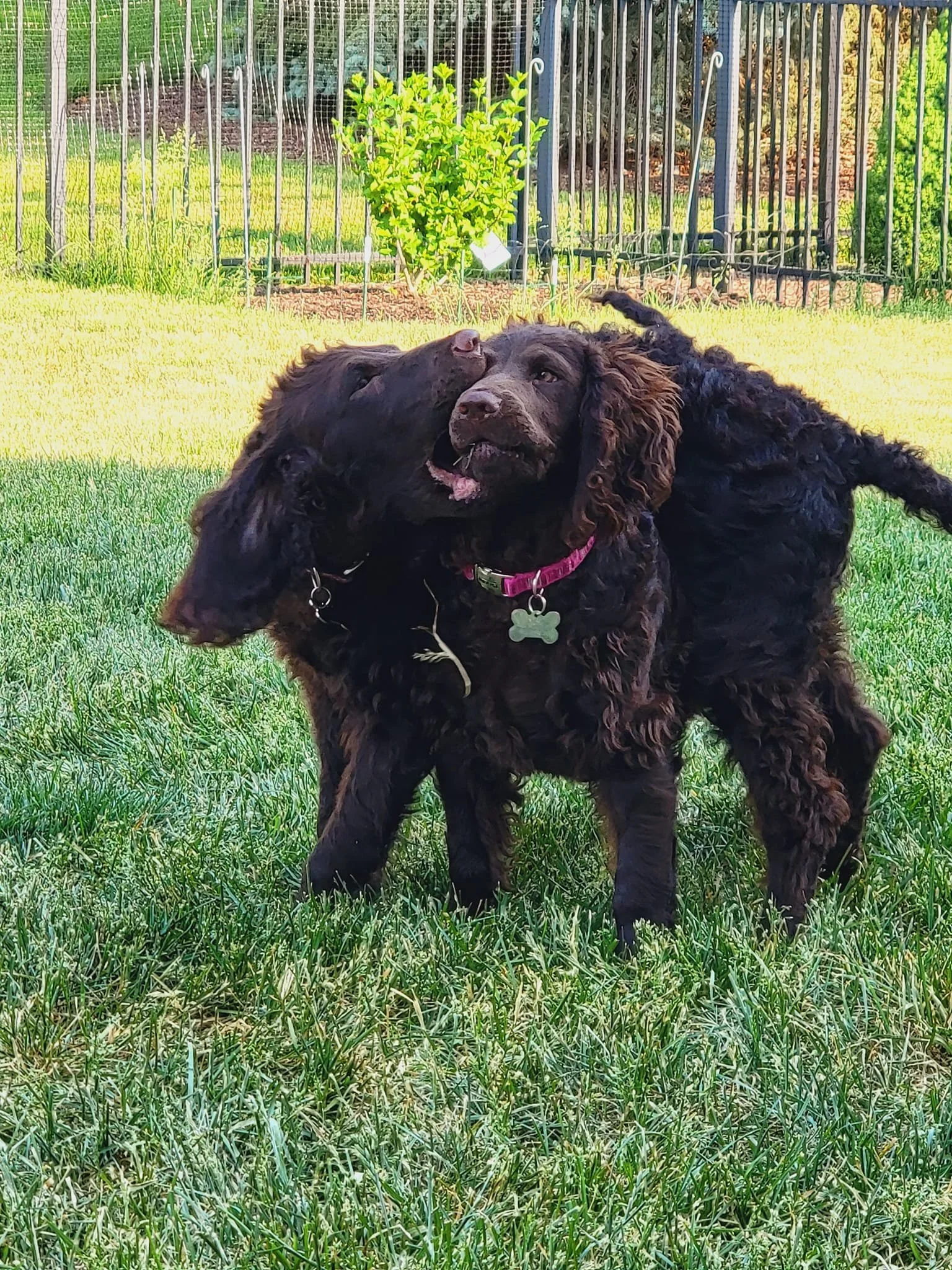 This Proves it - I'm bigger than you!