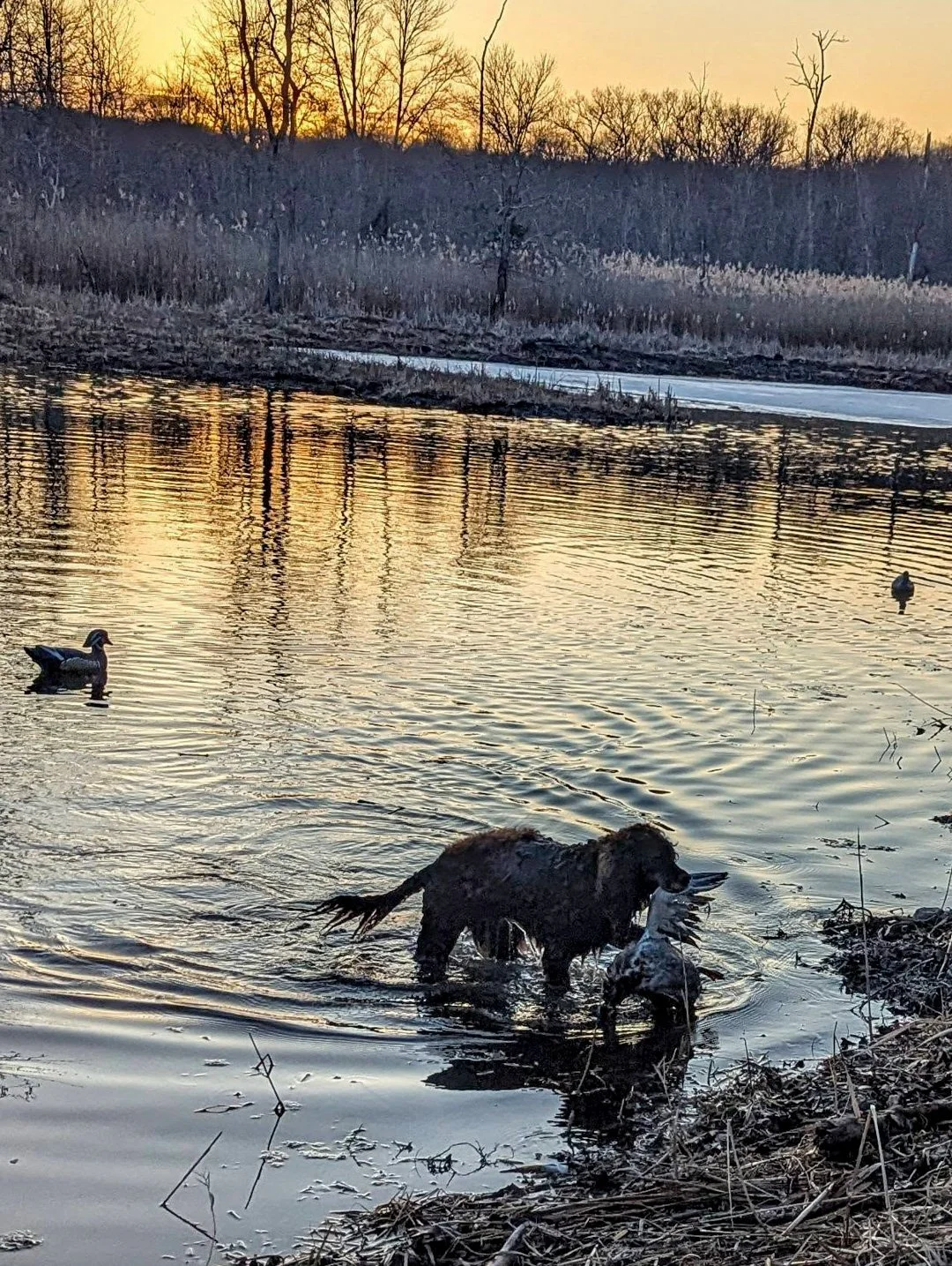 otter Garnder march 10th.jpg