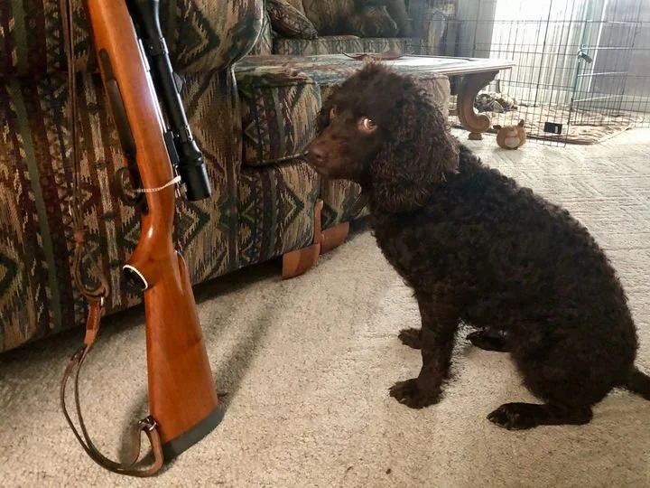 So - are we here to hunt or what? 