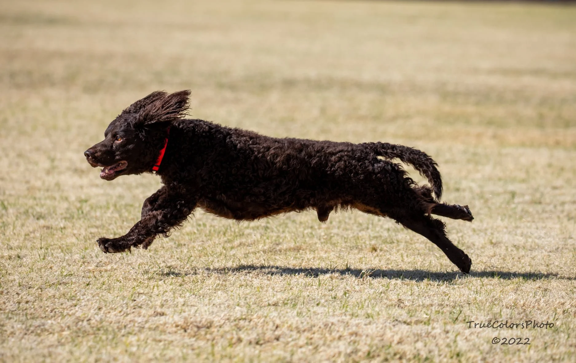 Flying ! 
