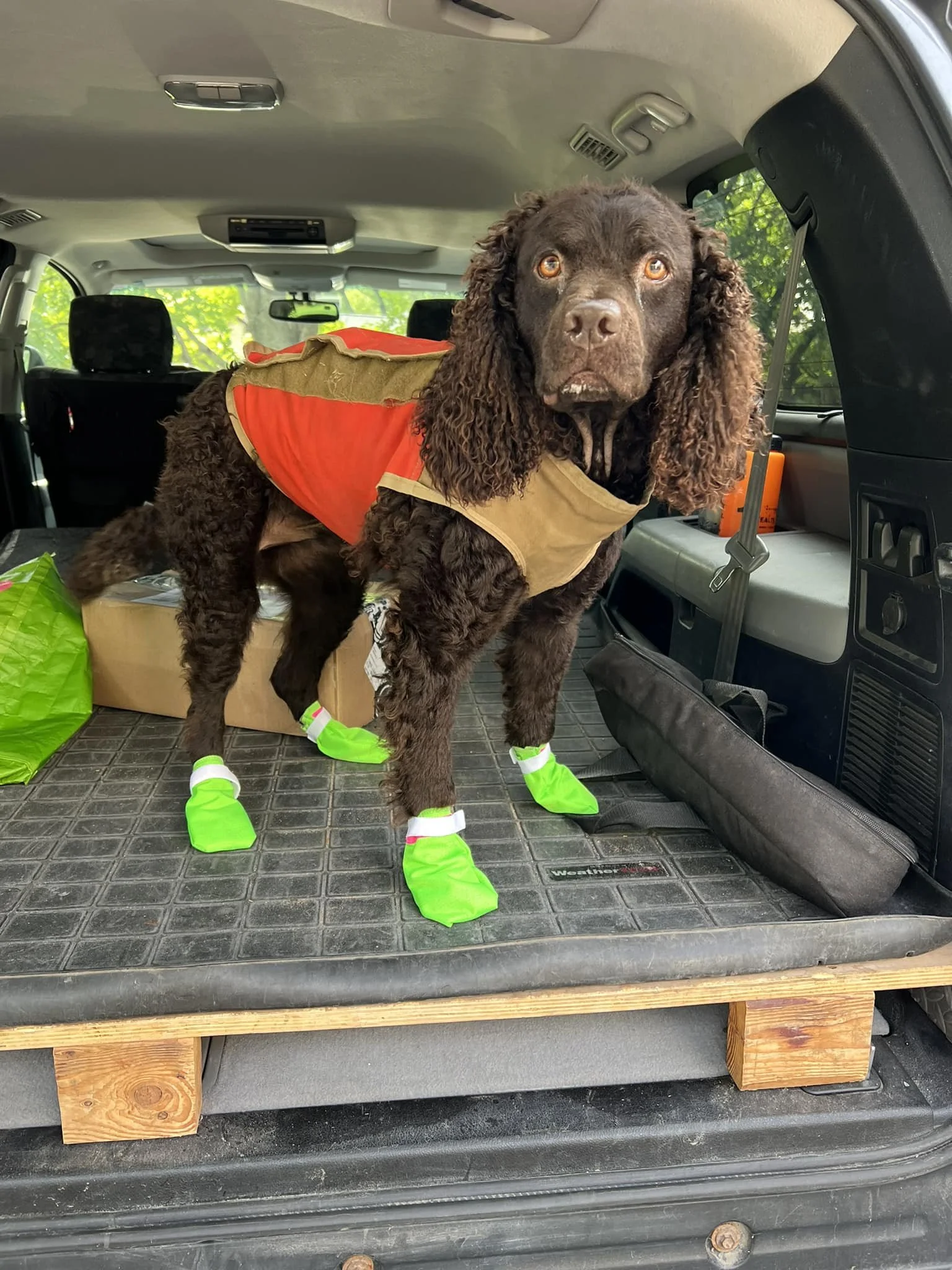 So where are YOUR goofy shoes