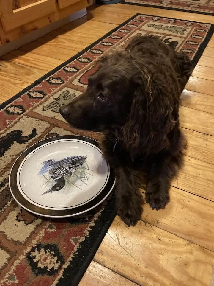 Found the plate I want - serve it up please