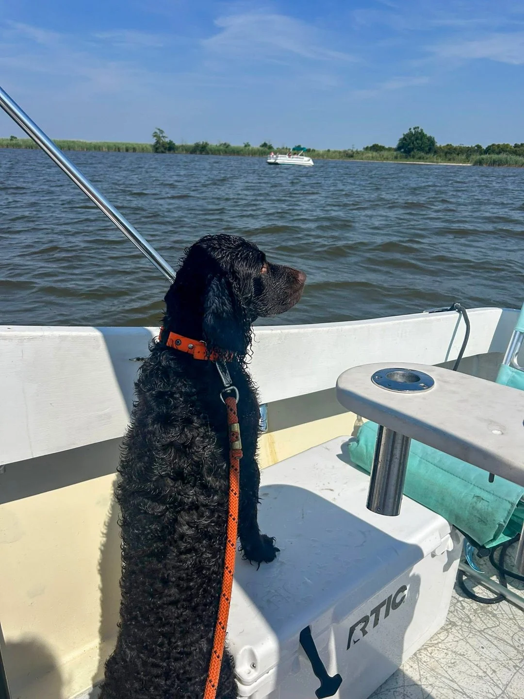 Time to go fishing 