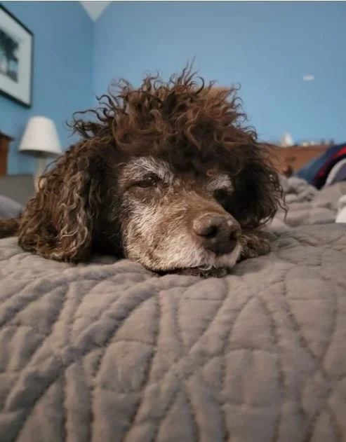 Good time for a little snooze - - - 