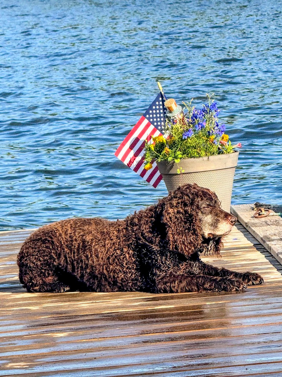 Happy 4th of July 
