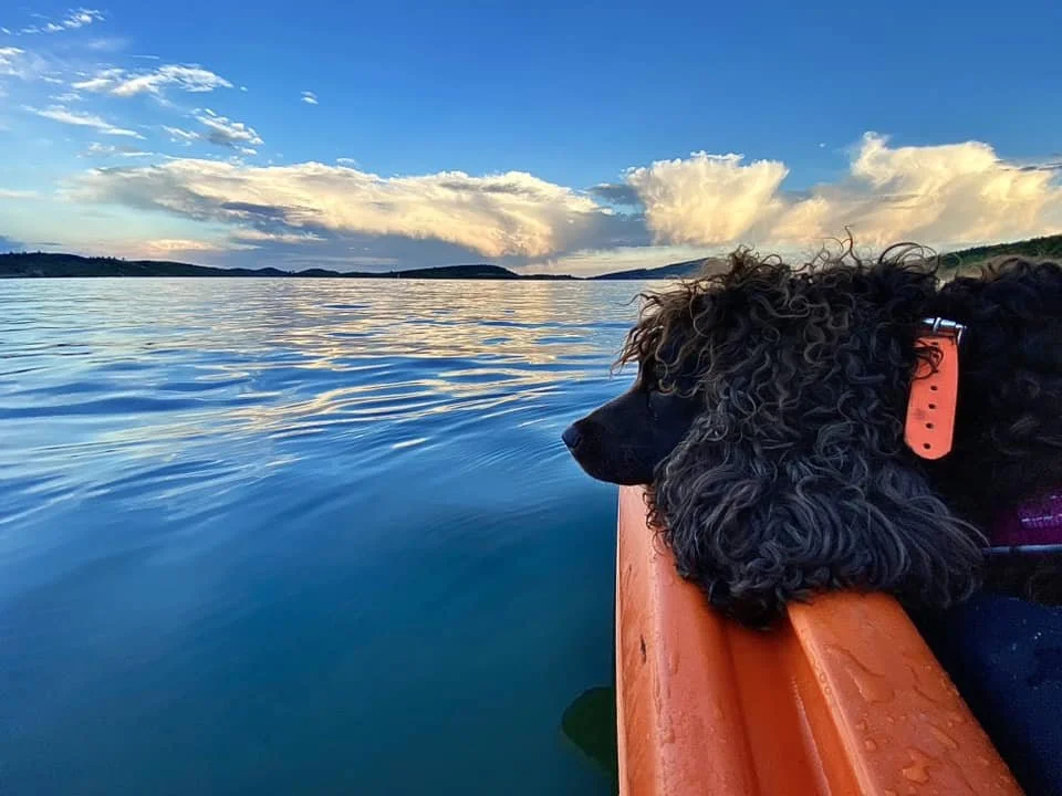 Looks so nice - just a quick swim, I promise 