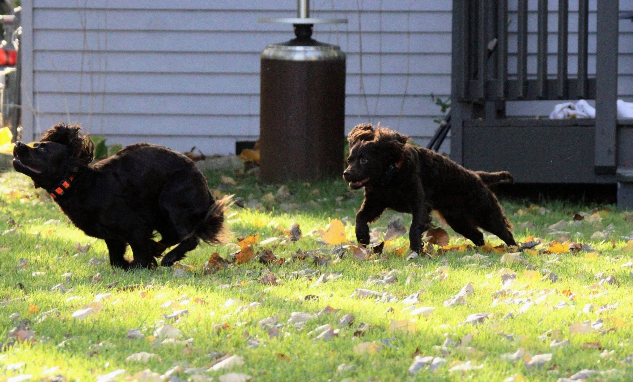 Catch me if you can!