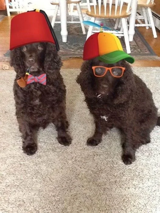 Double trouble 