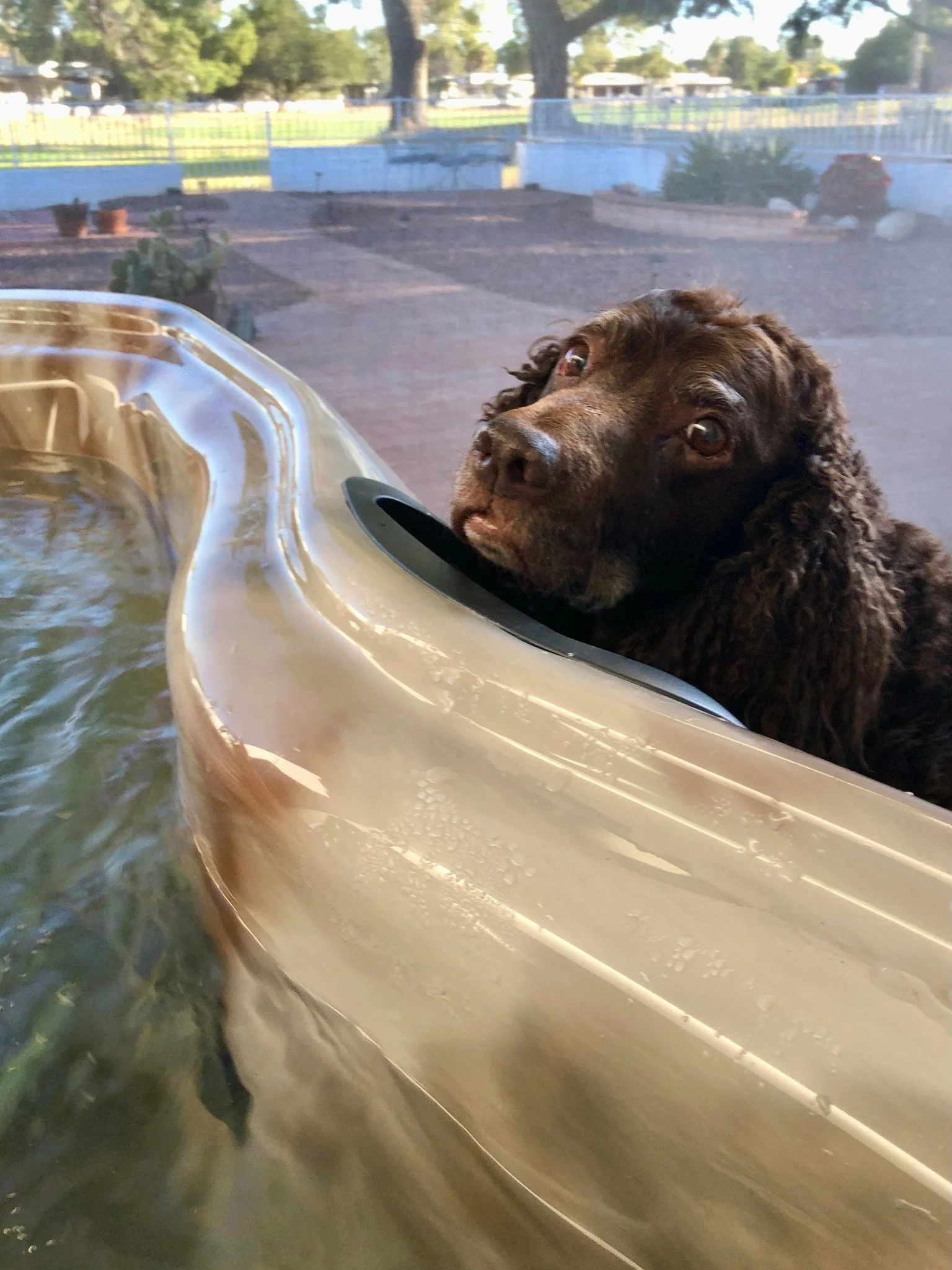 Ohh - that looks like fun, can I jump in too? 