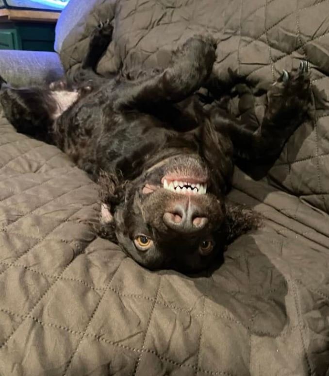 Rub my BELLY !!!
