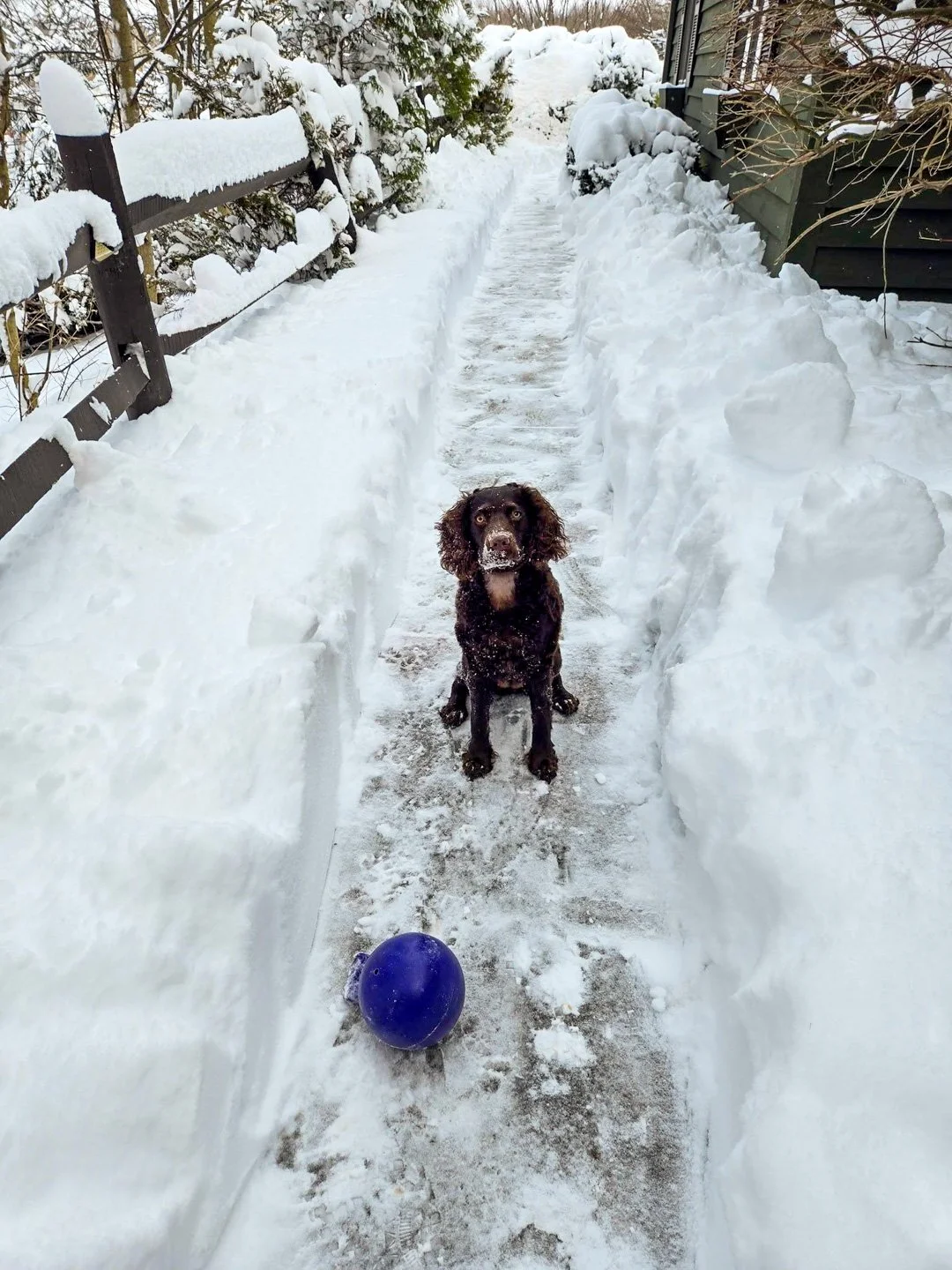 ah - are you going to shovel the rest of it now?  