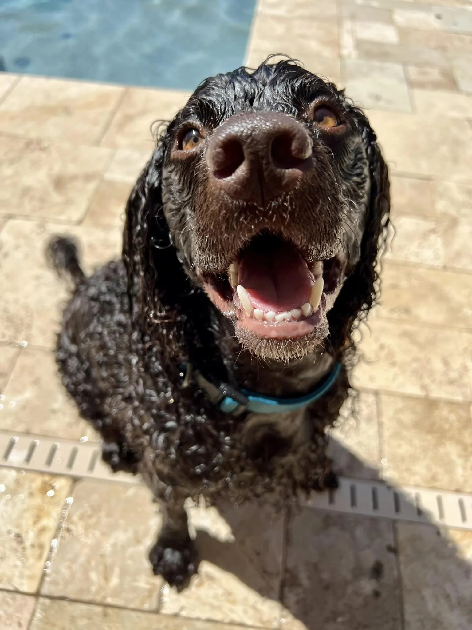 The water is Perfect!