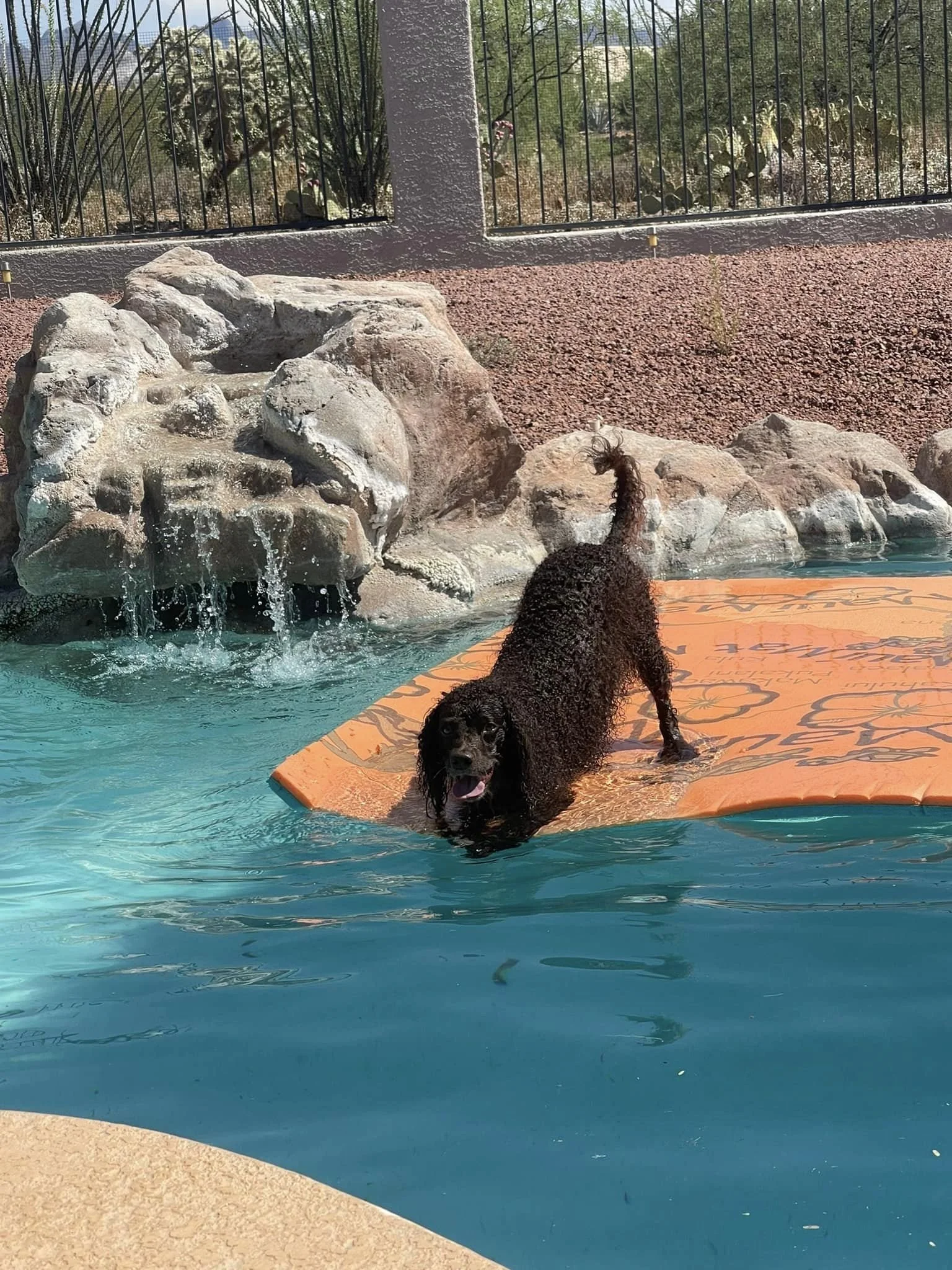 Play time!