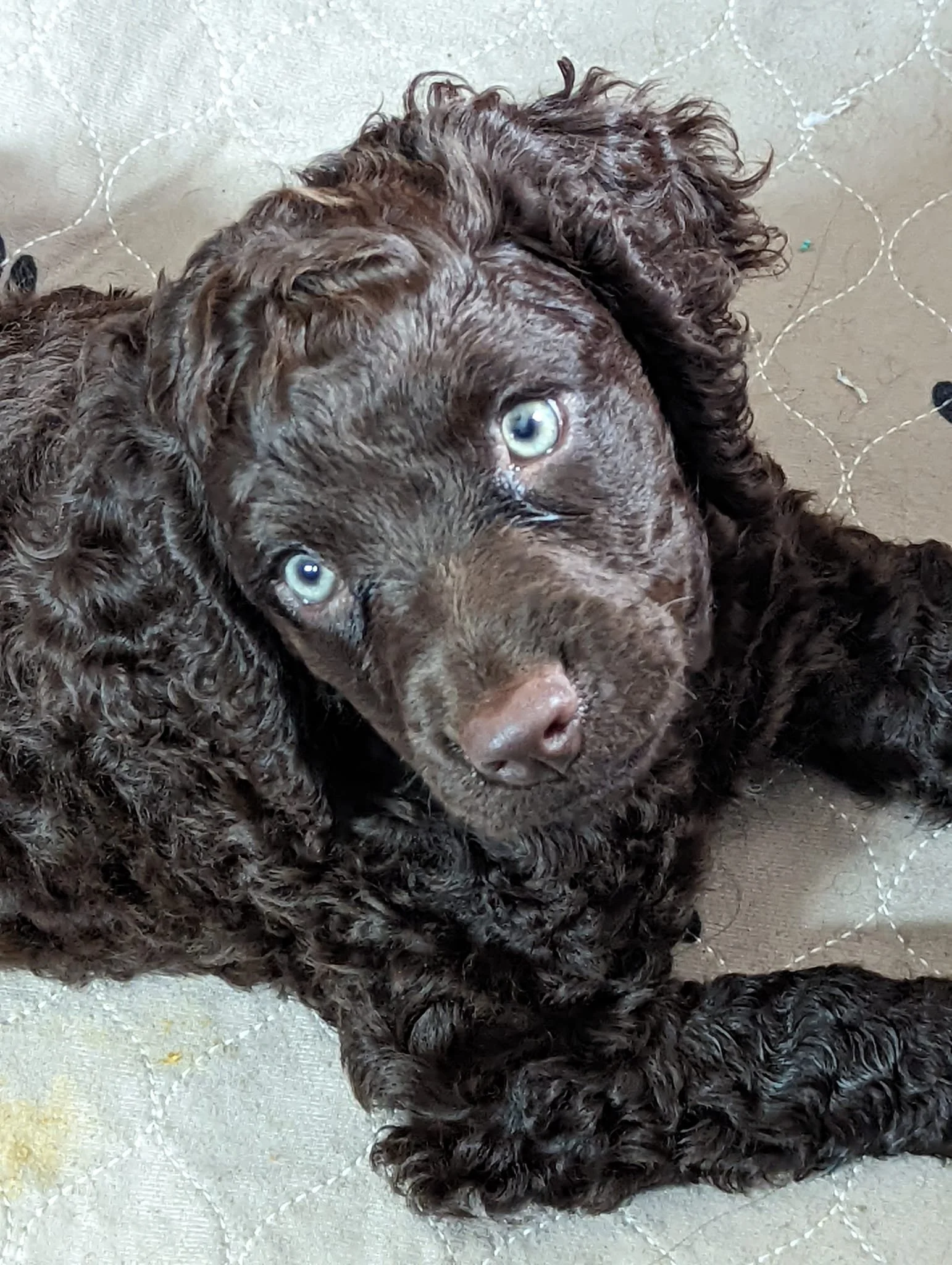 Training with treats, right? 