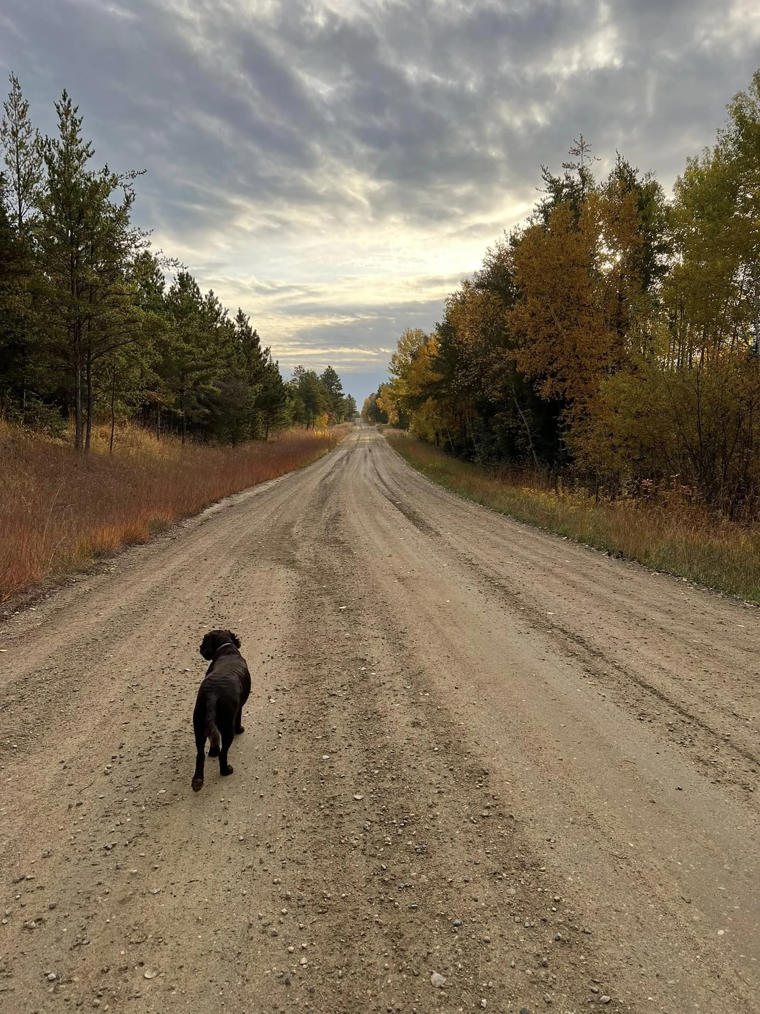 Road less traveled 