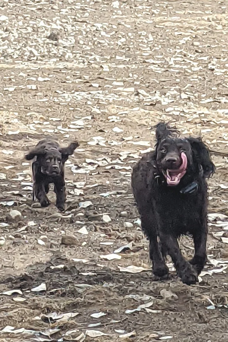 Hey Bro - wait up!