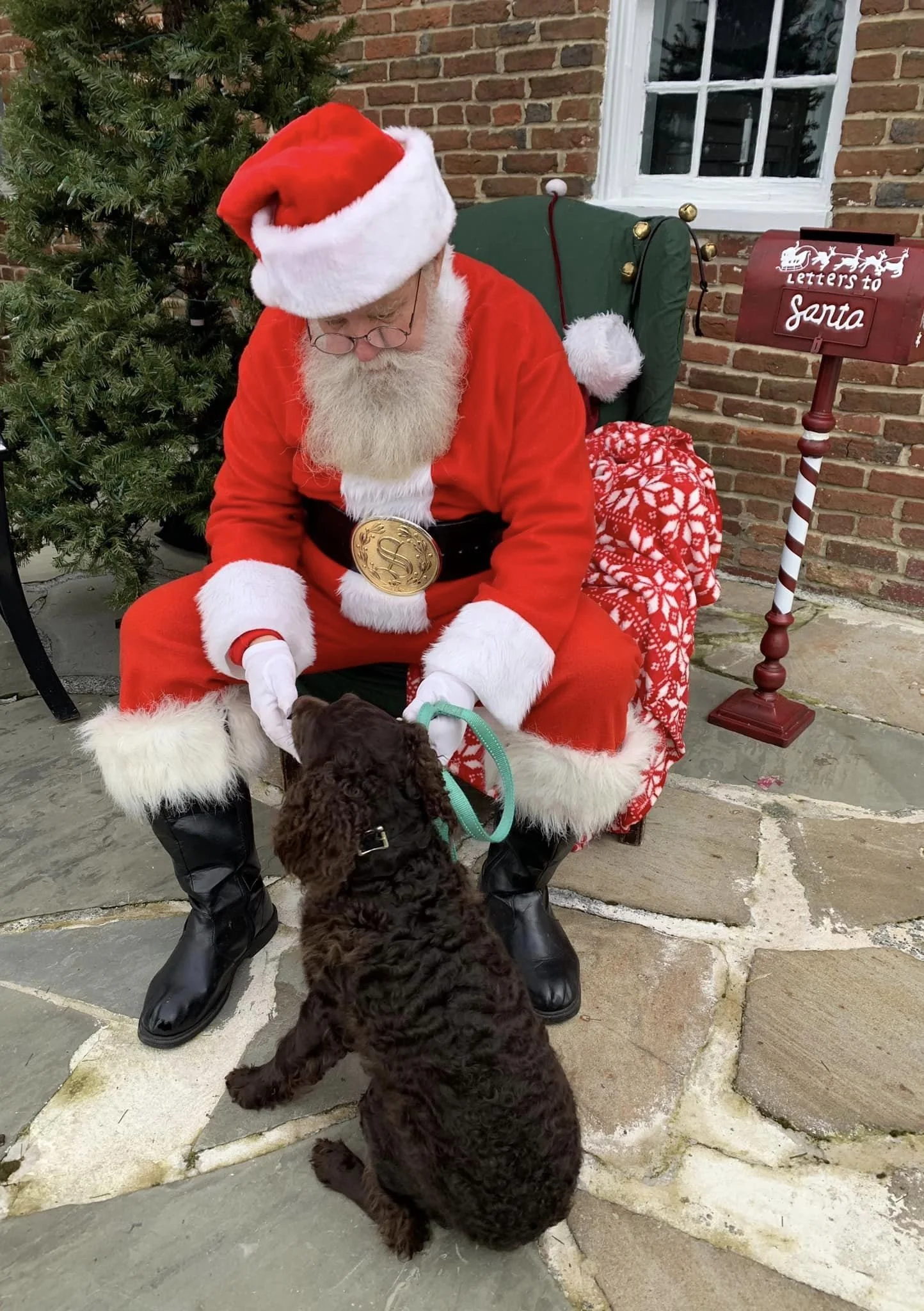 Hey Santa, need a hand? 