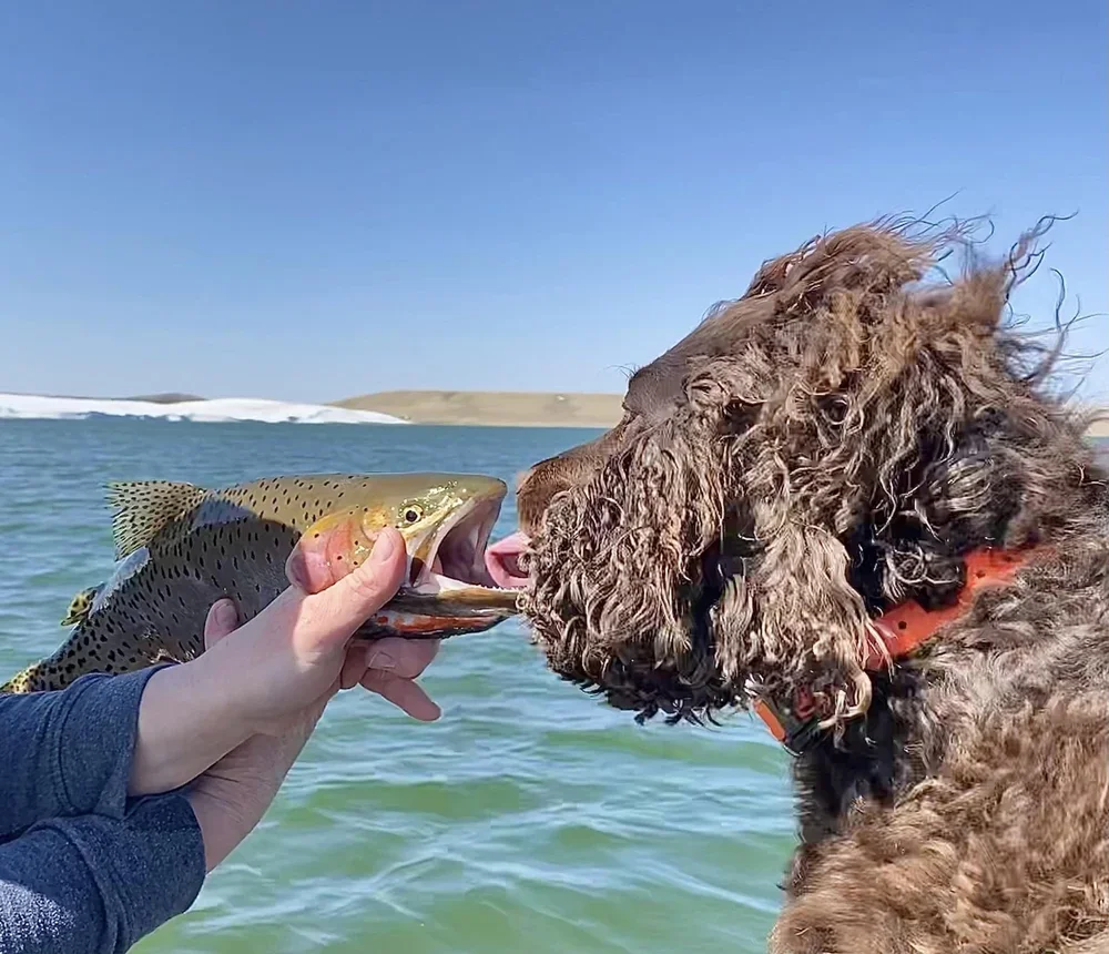 Come on - give me some tongue