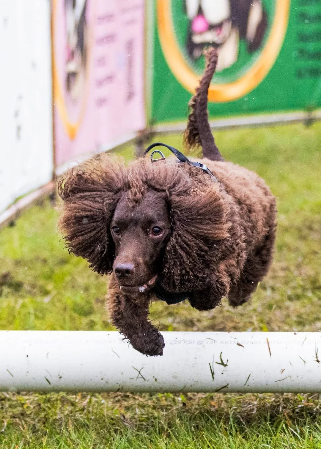 Flying! 