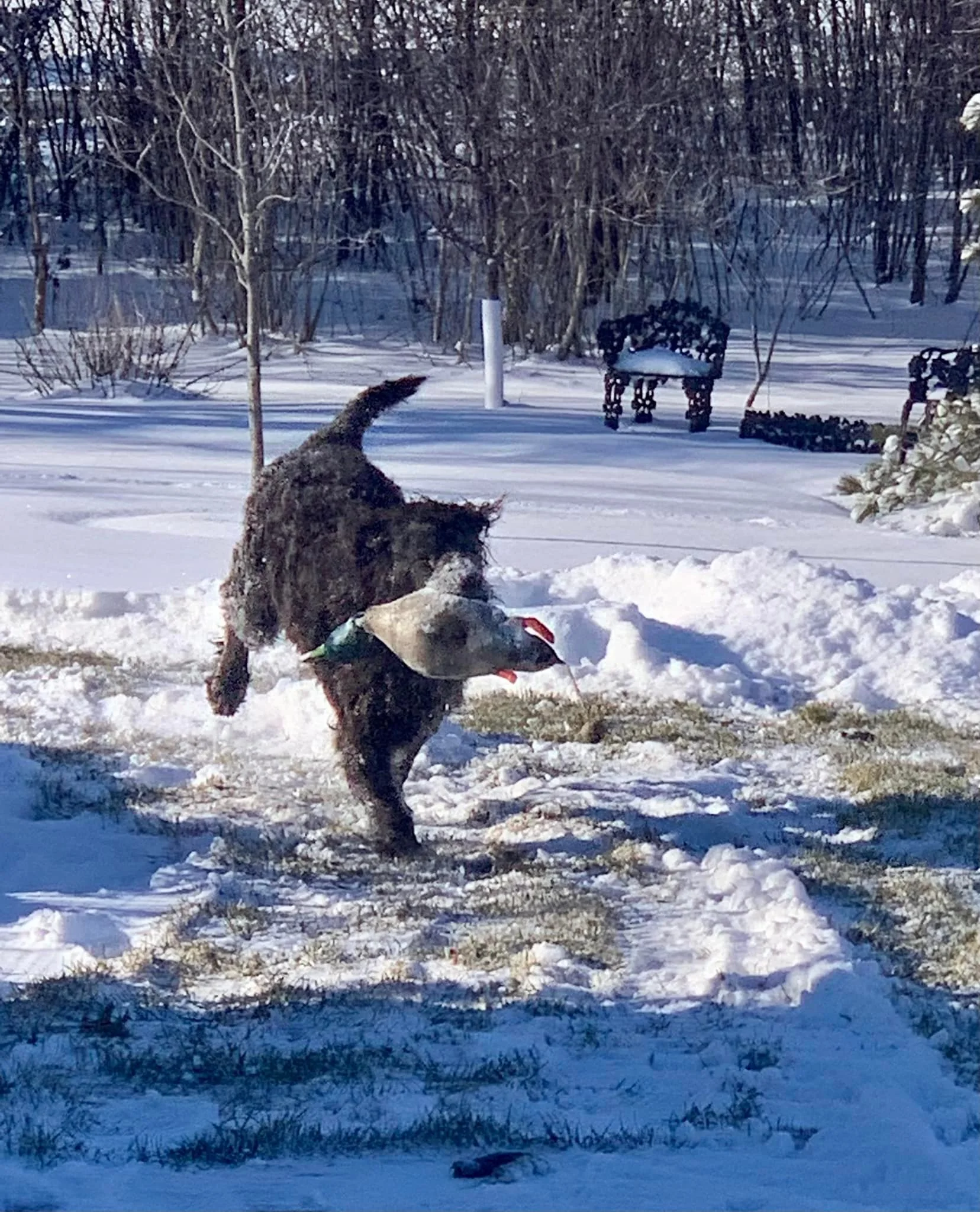 Ready or not, here I come!