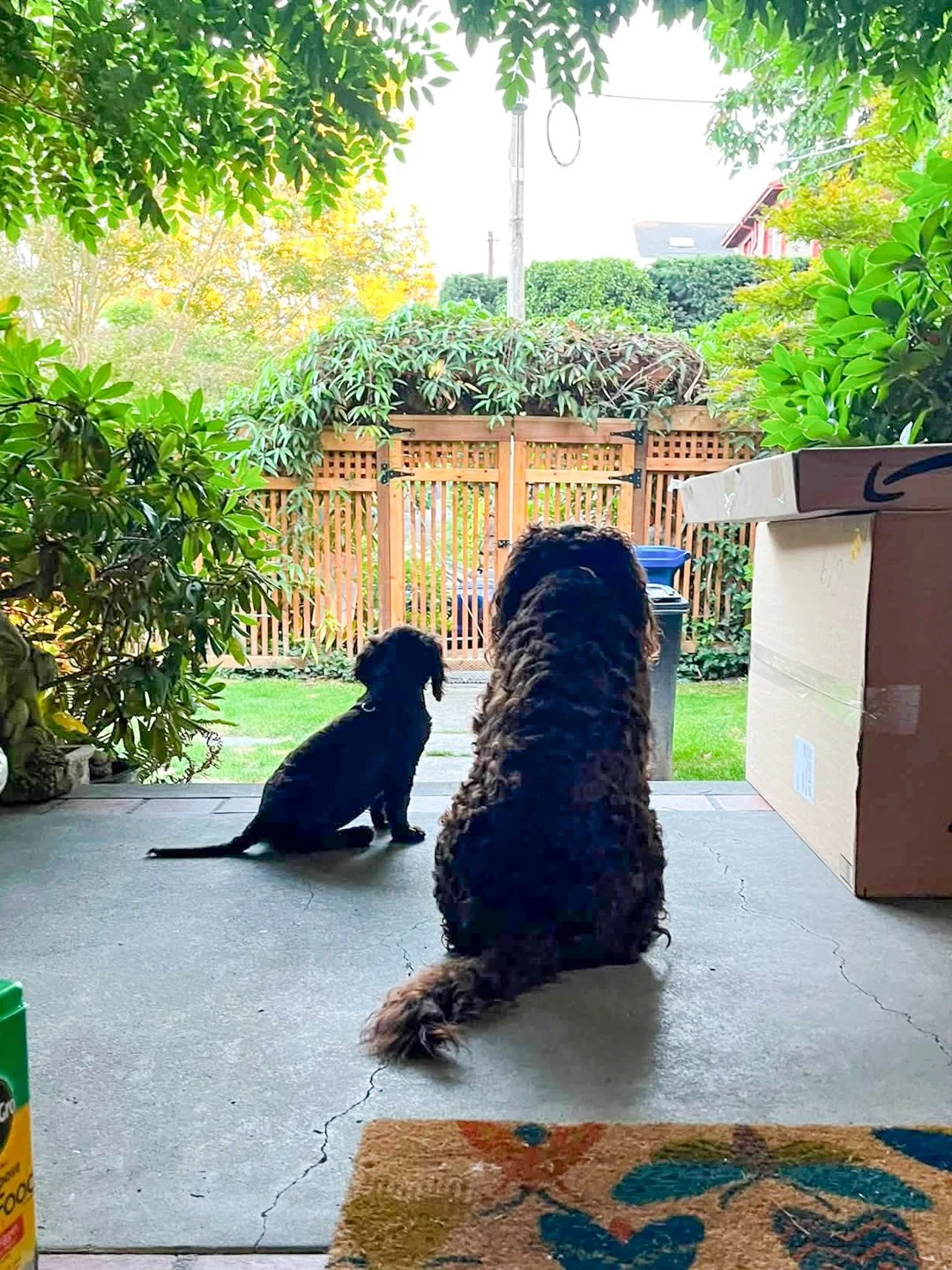 It's a big world out there- 