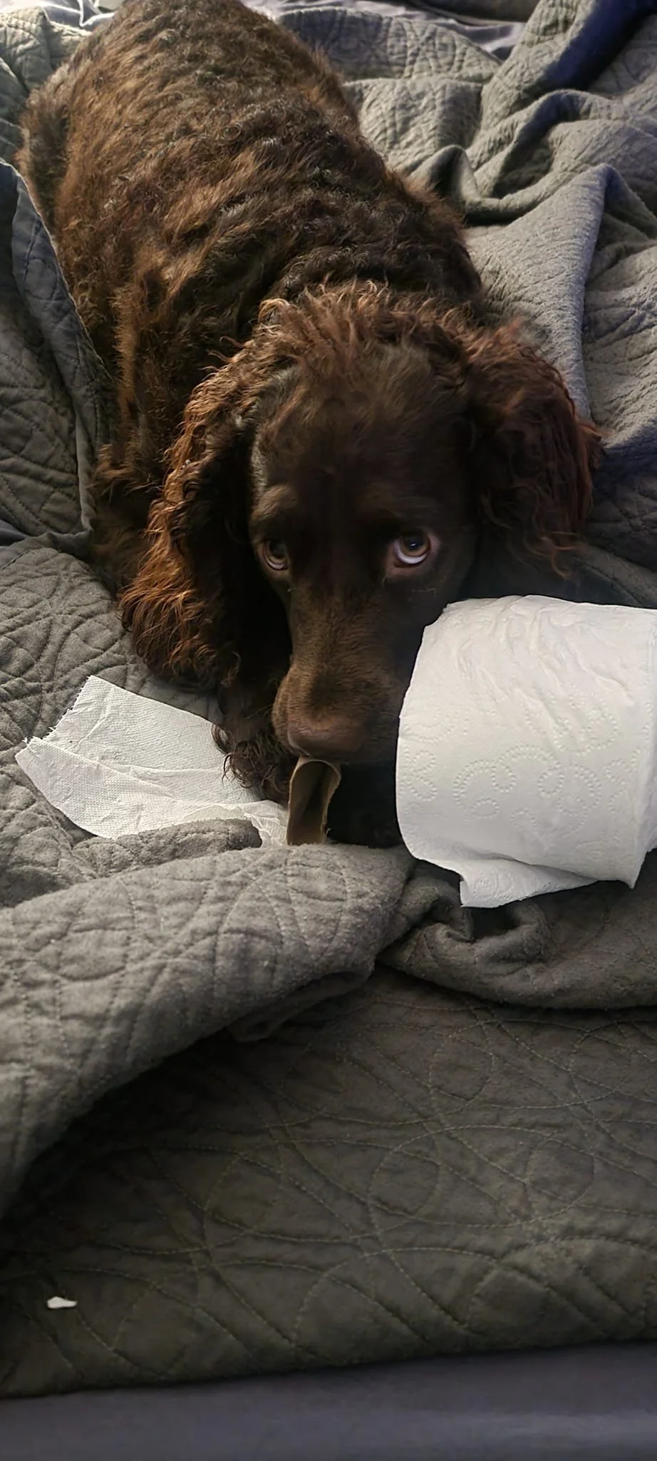 I'm innocent 