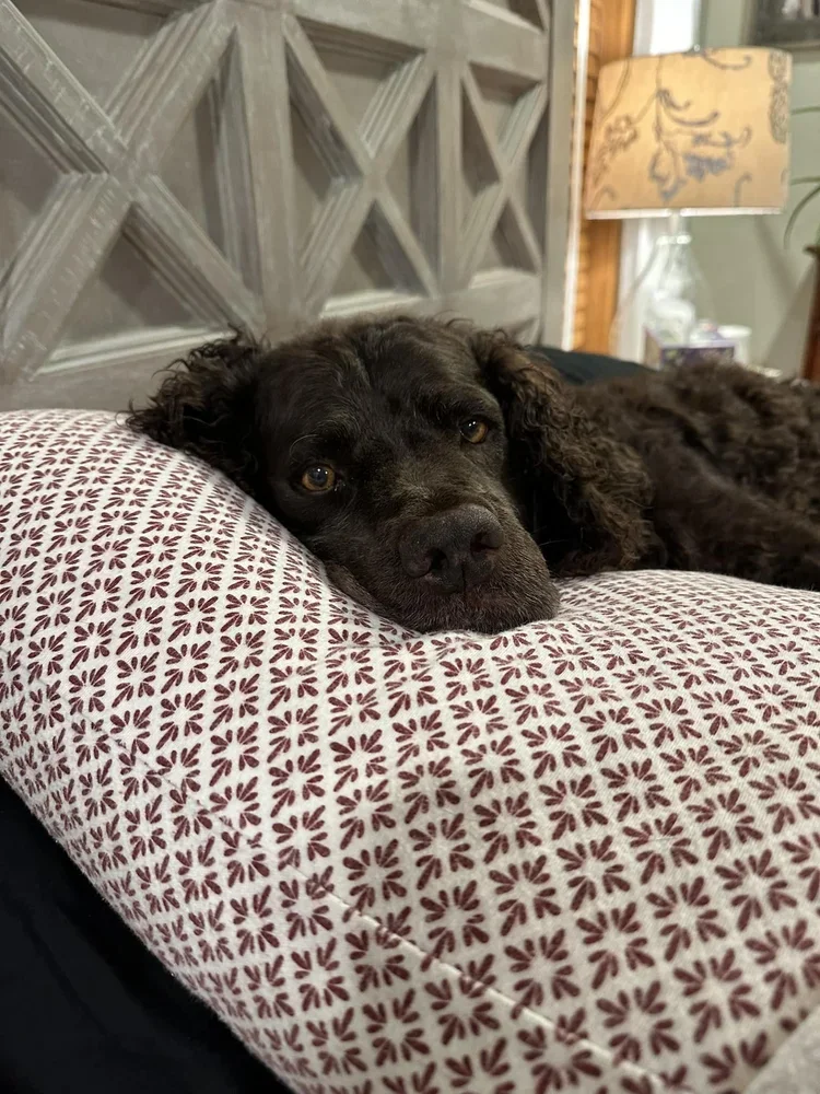 Christmas can be Exhausting 