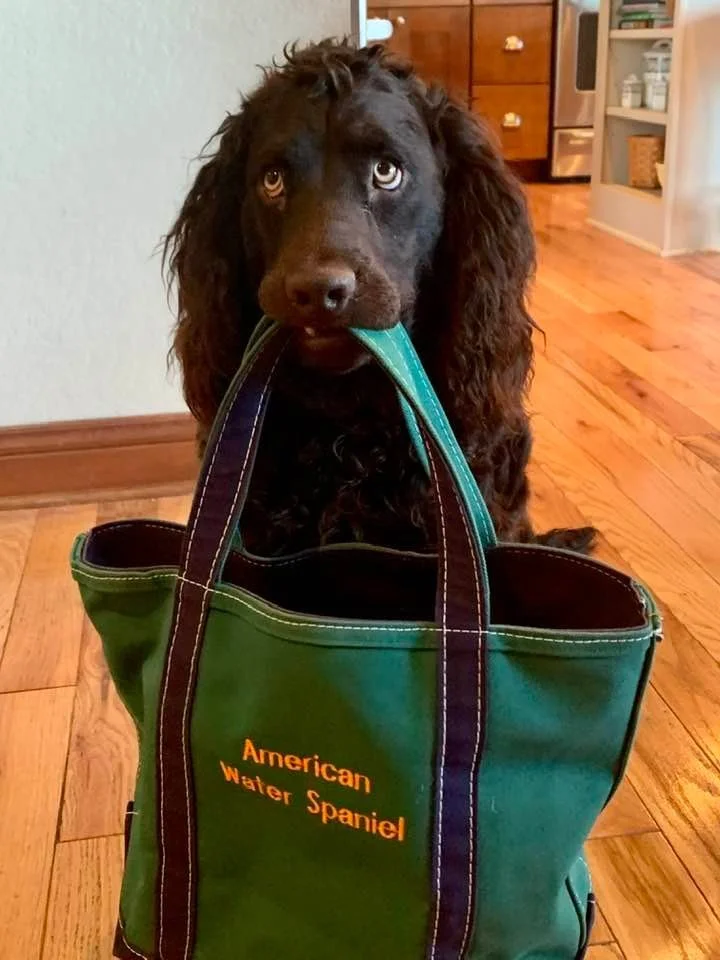Lets go shopping - - - 