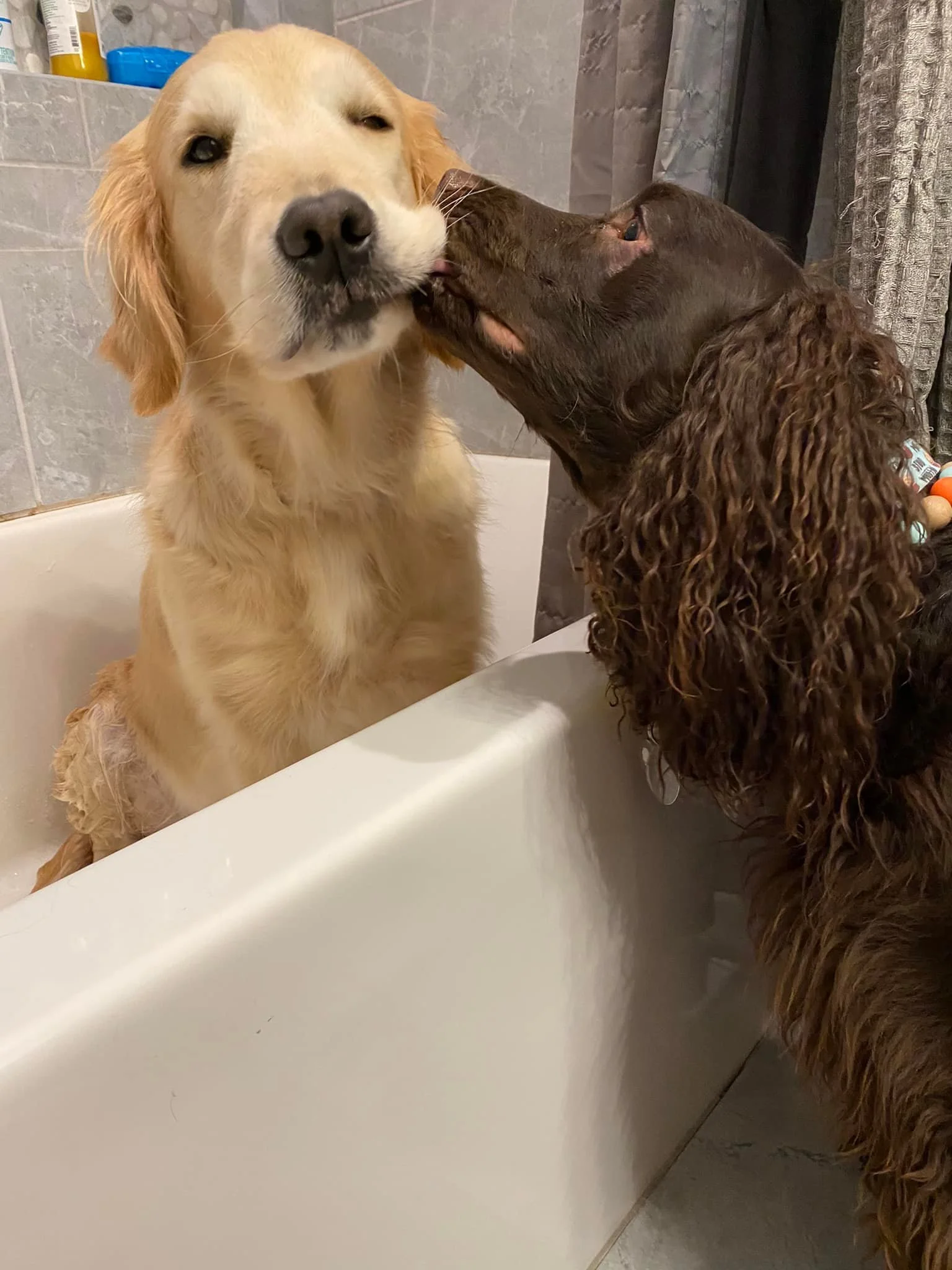 I'll get this spot for ya