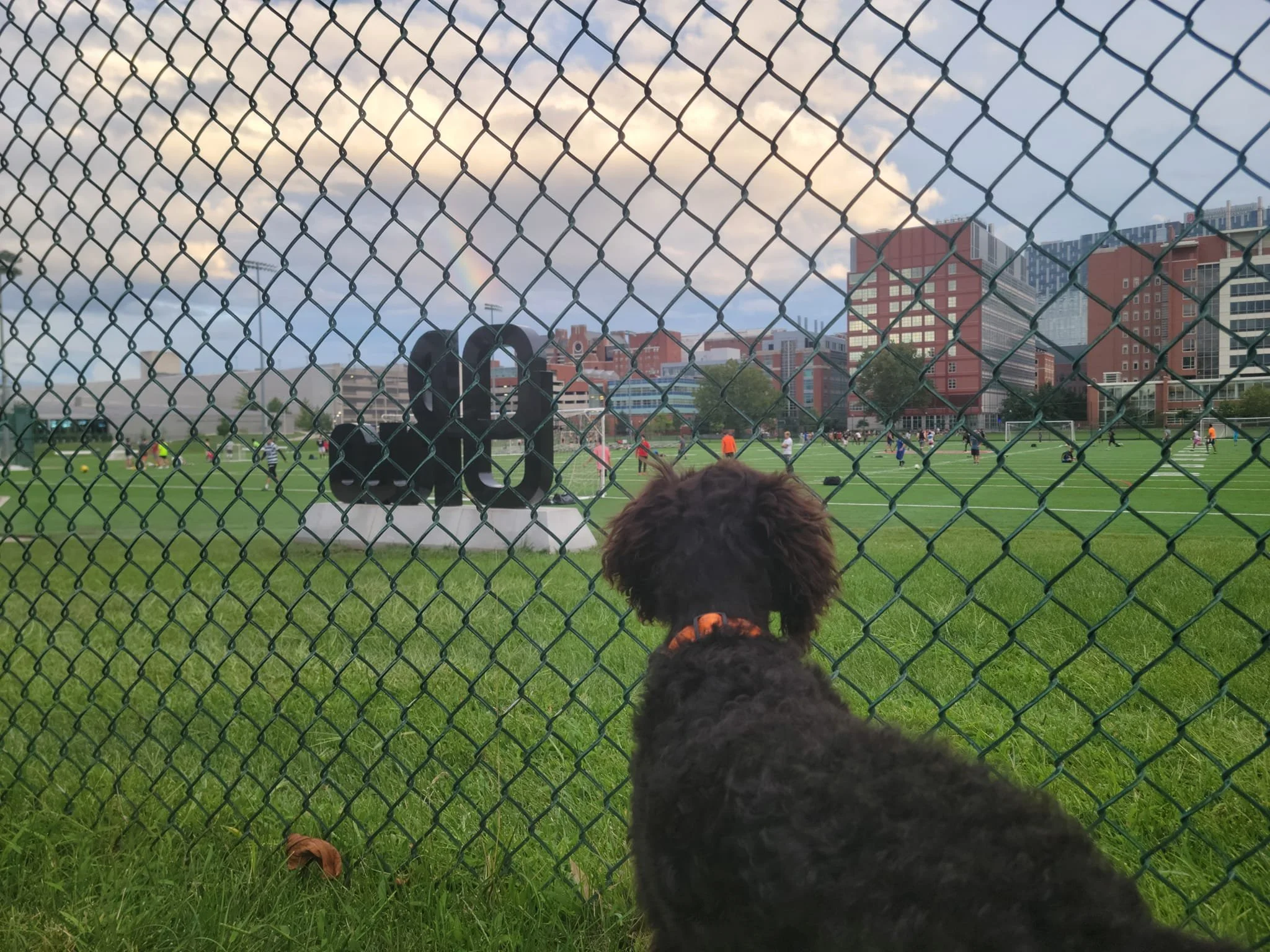 Can I play? 