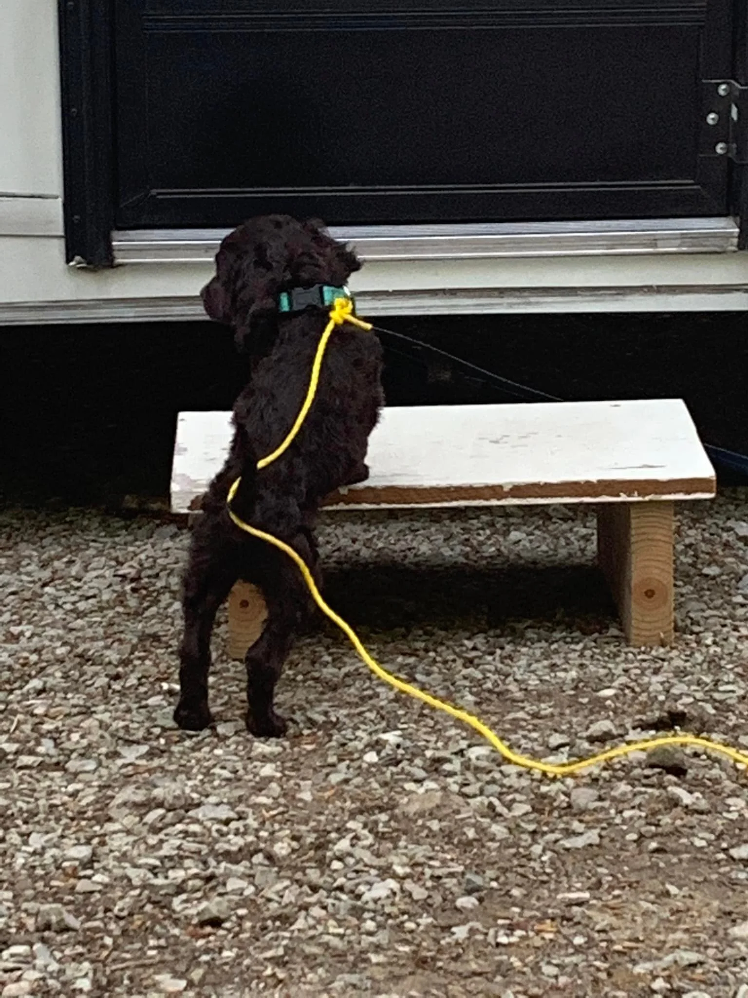 Can I come in?  Please - - - 