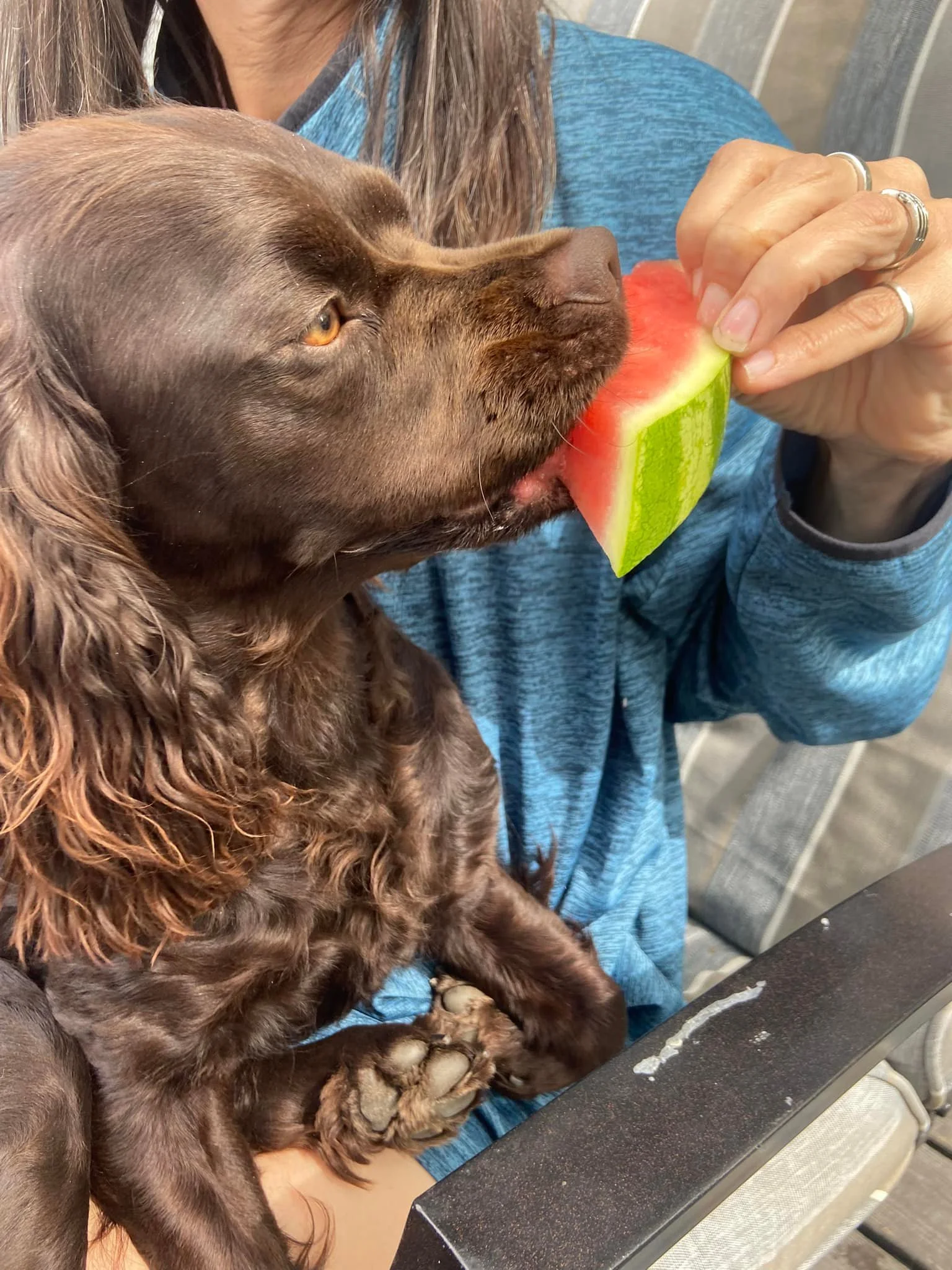 Umm - - - Watermelon!