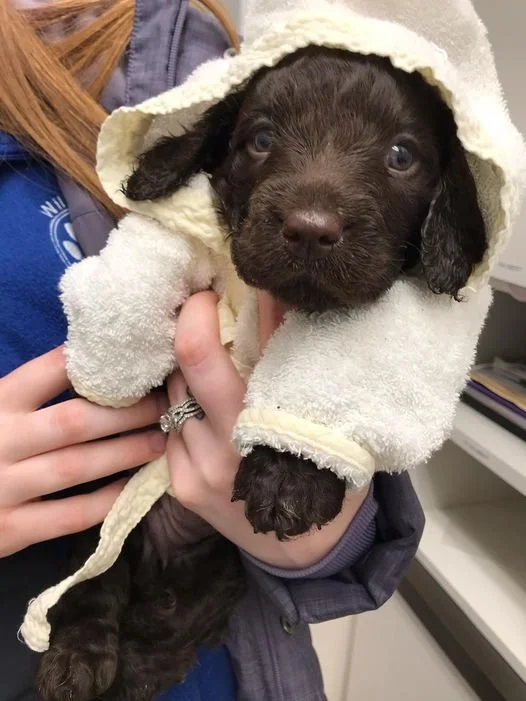 Adorable 